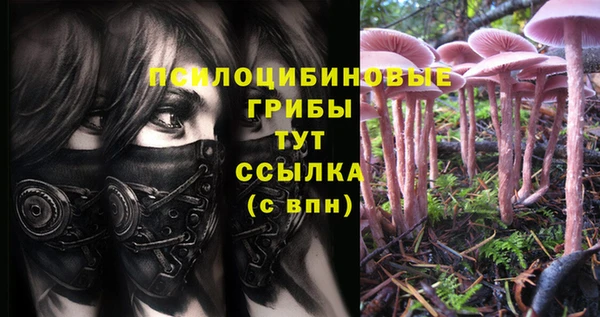 дмт Нея
