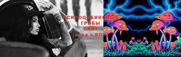ешки Нефтегорск