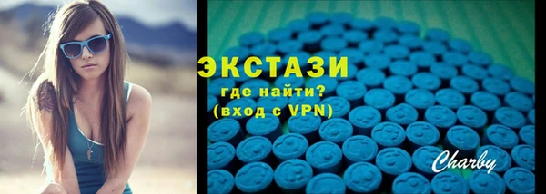 шишки Надым