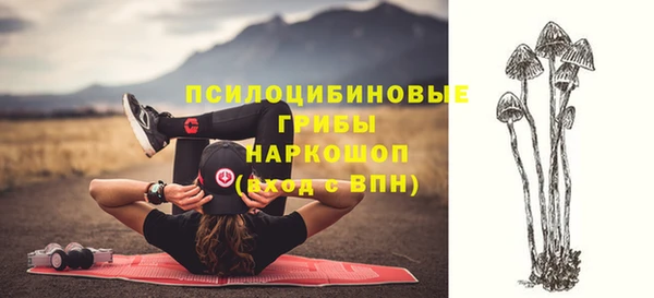 ешки Нефтегорск