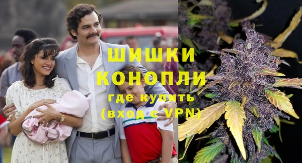 дмт Нея