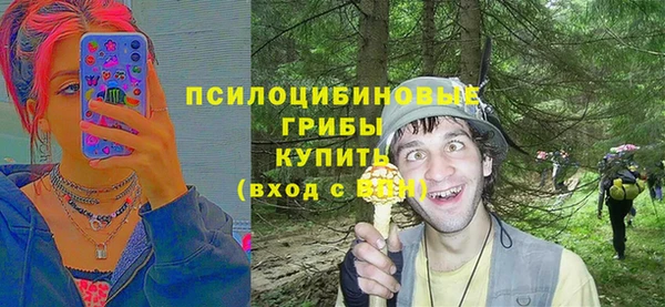 ешки Нефтегорск
