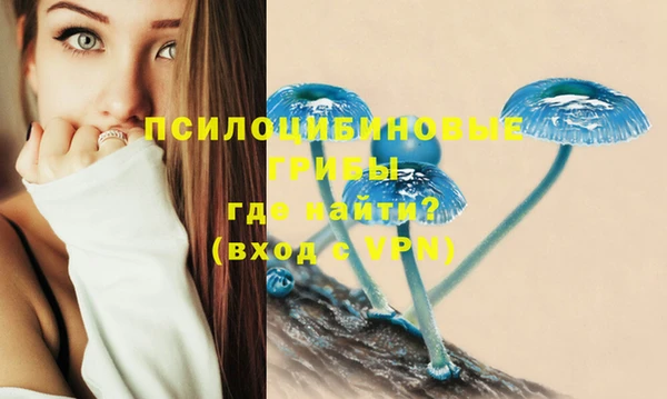 дмт Нея
