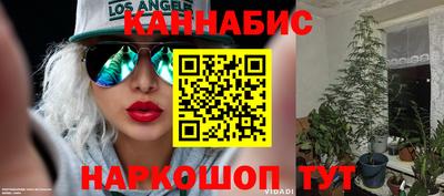 молекула духа Гагарин