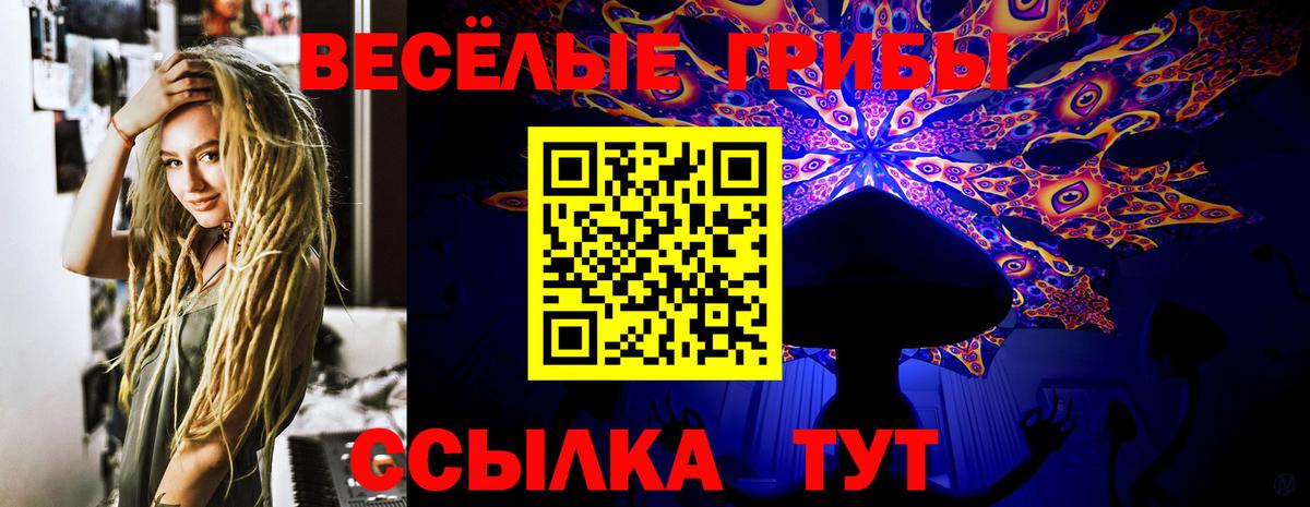 Карпинск  Псилоцибиновые грибы Psilocybe  Вход с VPN 