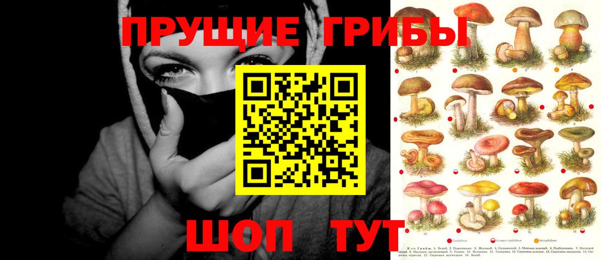 Галлюциногенные грибы MAGIC MUSHROOMS Карпинск